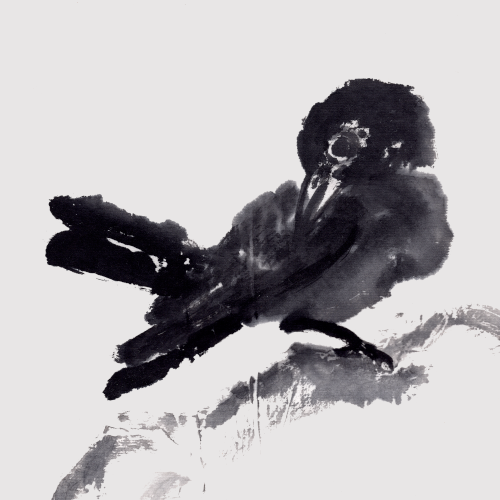 This common blackbird logo links directly to About.