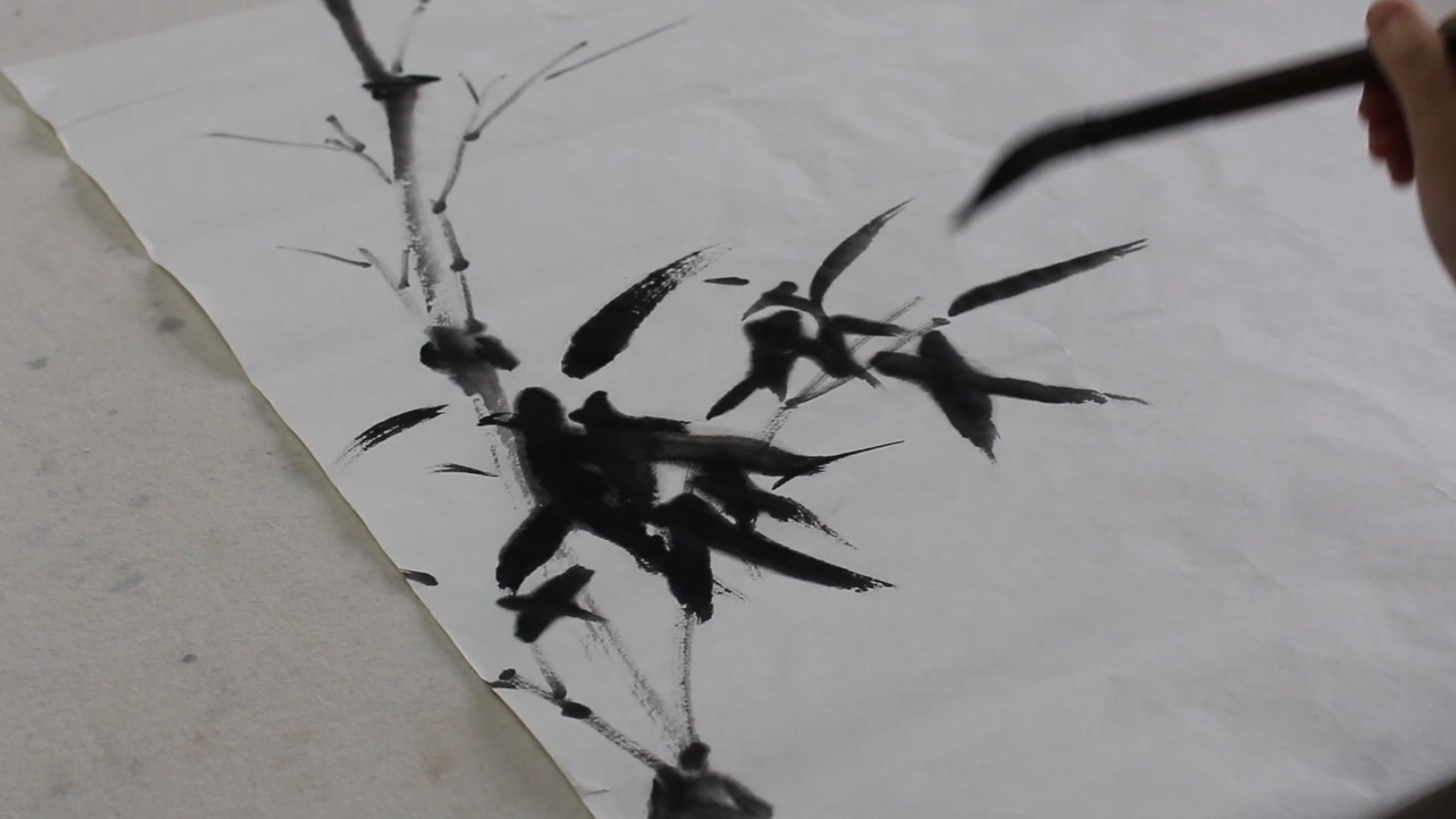 the thumnail of YouTube video 